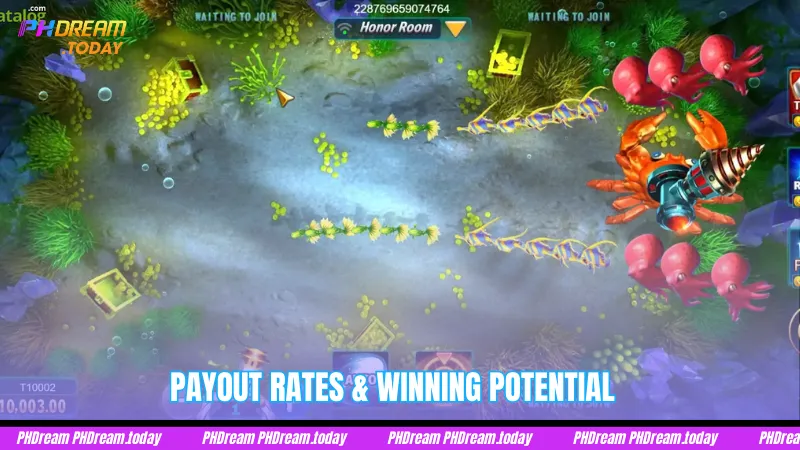 Payout Rates & Winning Potential