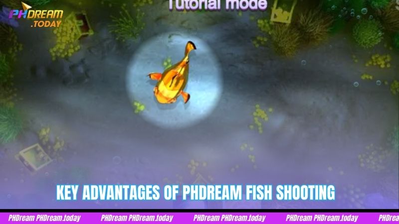 Key Advantages of PHDream Fish Shooting