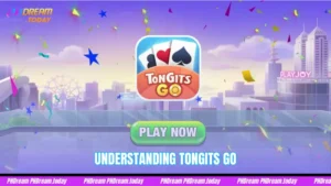 Understanding Tongits Go